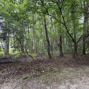 Photo #4 of 5140 Commission, Holly Springs, NC 1.2 acres