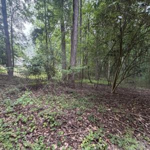 Photo #8 of 5140 Commission, Holly Springs, NC 1.2 acres