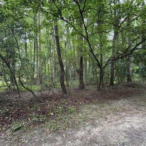 Photo #5 of 5140 Commission, Holly Springs, NC 1.2 acres