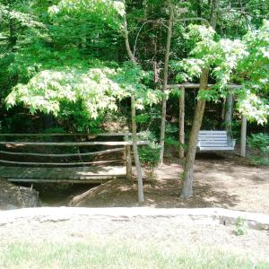 Parks and trail throughout, near 221, 22