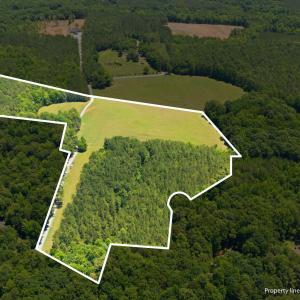 5-web-or-mls-13-print-DJI_20260630131223