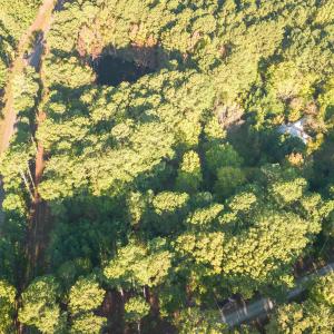 005_dji_0014-edit