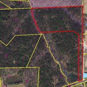Photo #1 of Highway 49, Mebane, NC 13.5 acres
