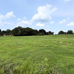 Mid Field Looking Up