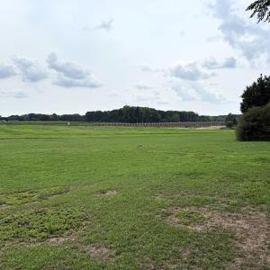 Upper Field Looking Down