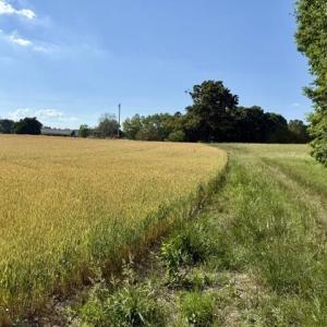 IMG_0940