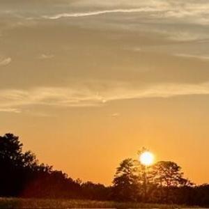 IMG_0852 (1)