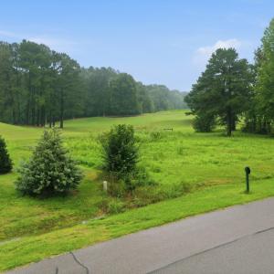 1-web-or-mls-DJI_0077