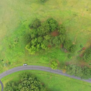 11-web-or-mls-DJI_0087