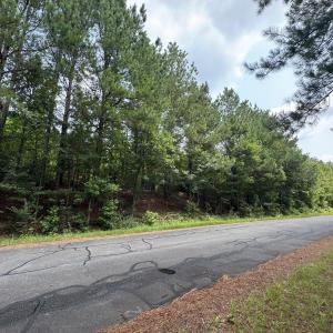 1-Facing east at property on Alston Hort