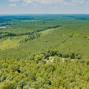Chatham Lumber 77.2 Drone-3