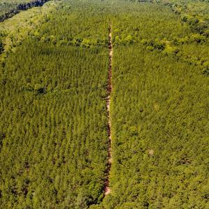 Chatham Lumber 77.2 Drone-4
