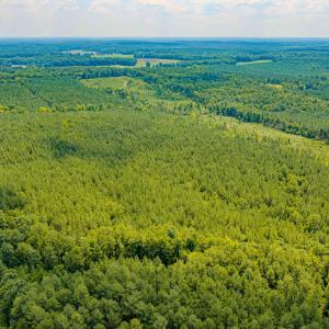 Chatham Lumber 77.2 Drone-5