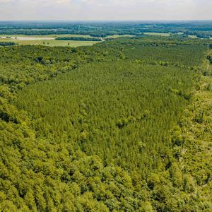 Chatham Lumber 77.2 Drone-7