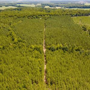 Chatham Lumber 77.2 Drone-8