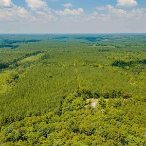 Chatham Lumber 77.2 Drone