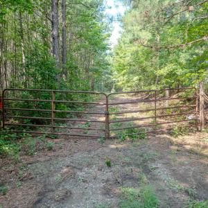 Chatham Lumber 77.2 Ground-4