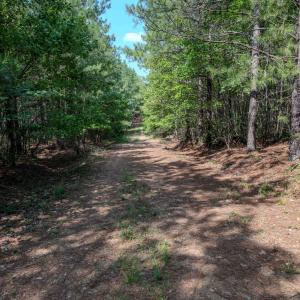 Chatham Lumber 77.2 Ground-8