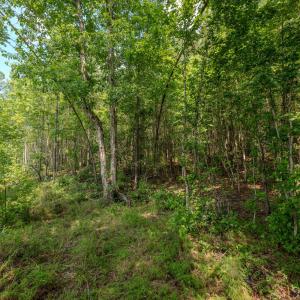 Chatham Lumber 77.2 Ground-20