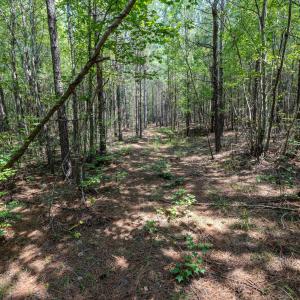 Chatham Lumber 77.2 Ground-22