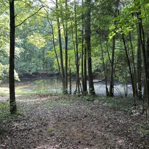 Pondview