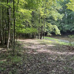 Pondview2