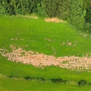 DJI_20260727140559_0206_D