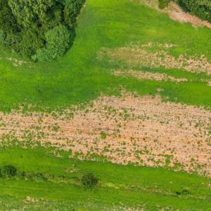 DJI_20260727140547_0201_D