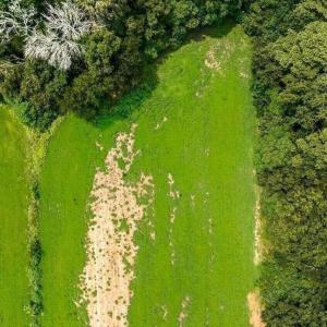 DJI_20260727140610_0211_D