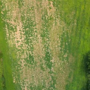 DJI_20260727135304_0189_D
