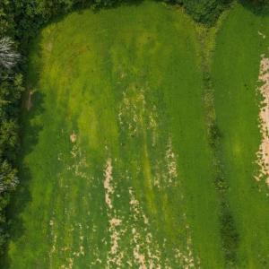 DJI_20260727135205_0178_D