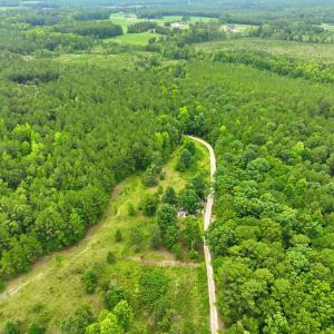 3-web-or-mls-DJI_0315