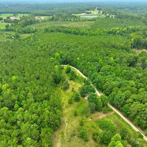 4-web-or-mls-DJI_0316