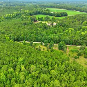 6-web-or-mls-DJI_0318