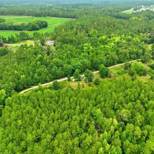 7-web-or-mls-DJI_0319
