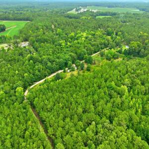 8-web-or-mls-DJI_0320