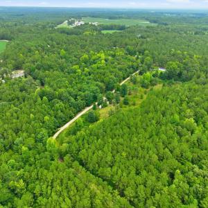 9-web-or-mls-DJI_0321
