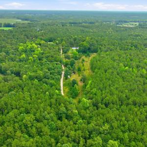 11-web-or-mls-DJI_0323