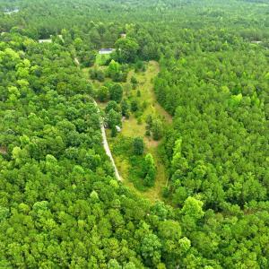 12-web-or-mls-DJI_0324