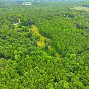 13-web-or-mls-DJI_0325