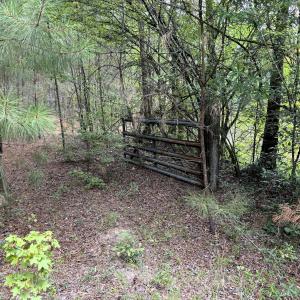 Cattle Gate