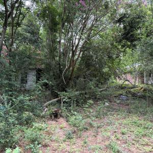 House Side View