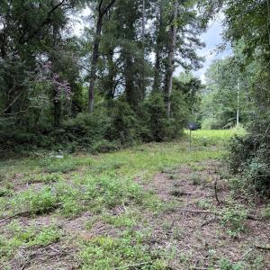Power Pole Clearing