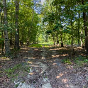 Existing Driveway Towards Property