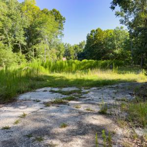 Old Homesite and Pad