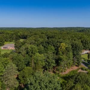 Over Property Towards Neighbors
