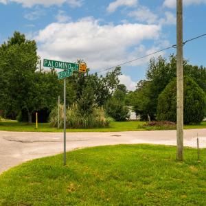 1_0 palomino dr-18
