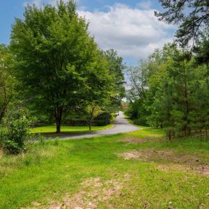 18_0 palomino dr-12