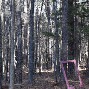 Photo #4 of 806 Carpenter Fletcher, Durham, NC 0.5 acres