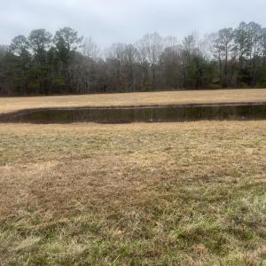 Photo #9 of 474 Indian Camp, Smithfield, NC 3.1 acres